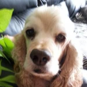 Meet your Posher, Terry